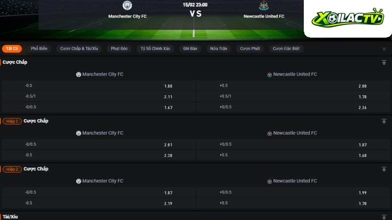 Man City vs Newcastle
