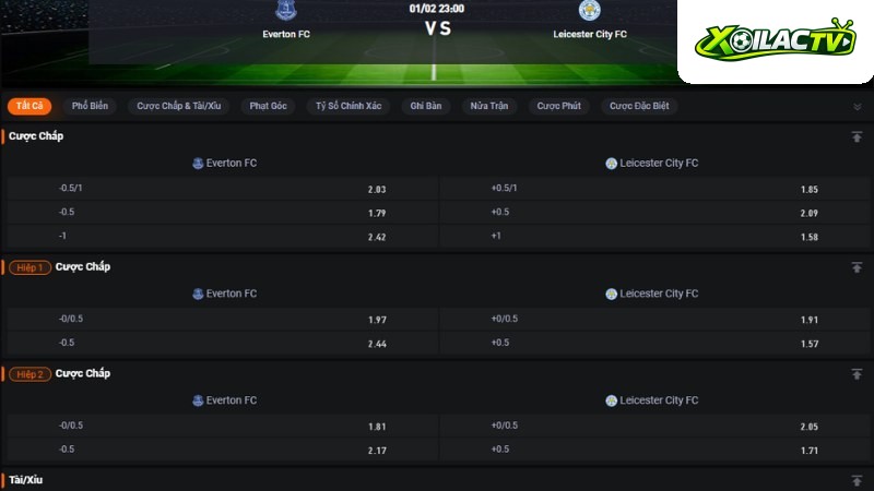 Everton vs Leicester