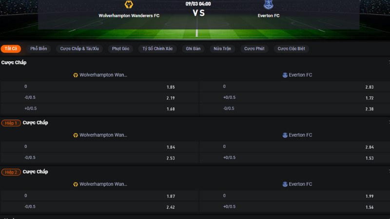 Wolves vs Everton