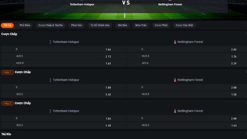 Tottenham vs Nottingham