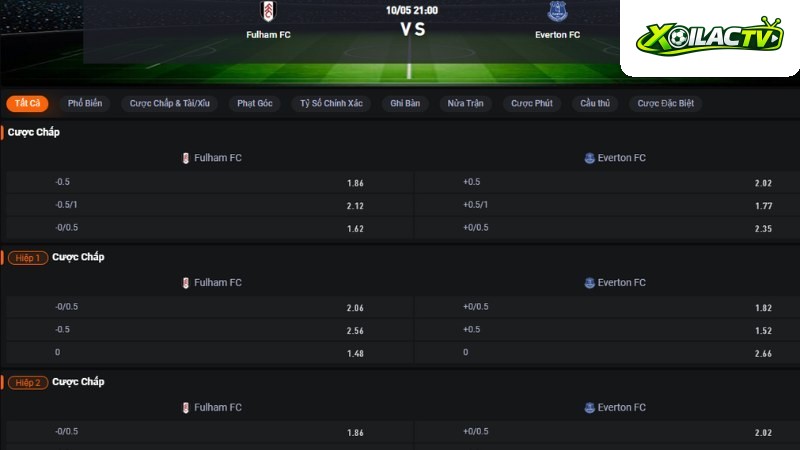 Fulham vs Everton