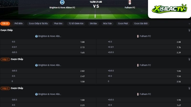 Brighton vs Fulham