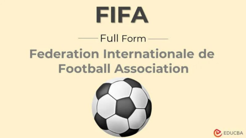 Vai trò và chức năng chính của fifa là gì?