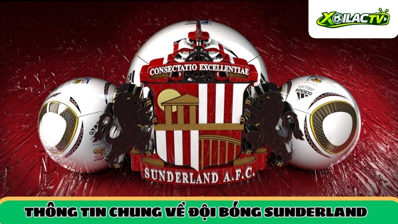 Thông tin tổng quan về Sunderland AFC