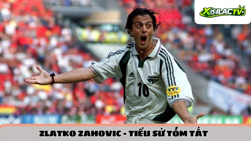 Tiểu sử tóm tắt Zahovic