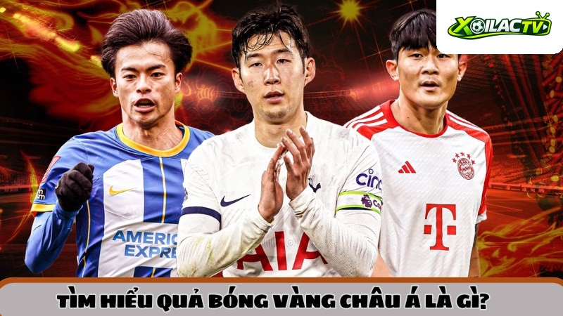 tim-hieu-qua-bong-vang-chau-a-la-gi