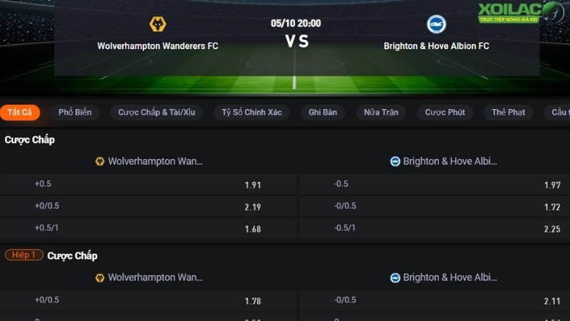 Wolves vs Brighton
