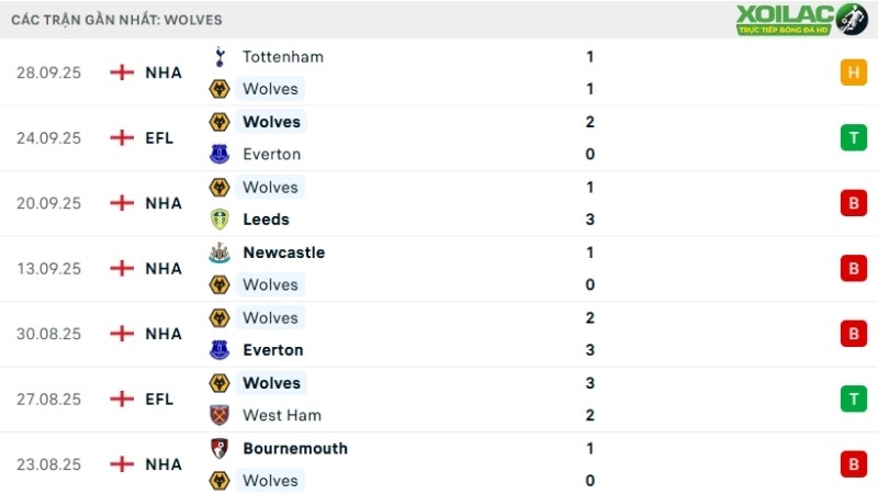 Wolves - Brighton